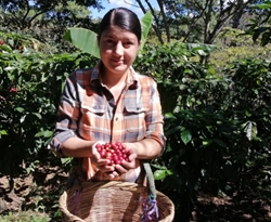 Honduras Dariela Mancia